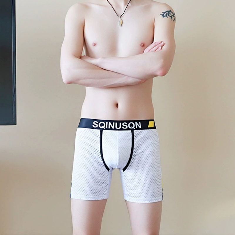 Men's Ice Silk Mesh Boxer Brie - Long Leg Trunk Men review and price
